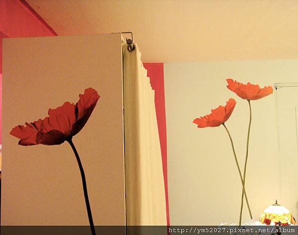 IKEA壁貼~罌粟花