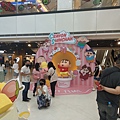 IMAG6326.jpg
