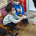 LINE_ALBUM_這是什麼動物_230403_3.jpg