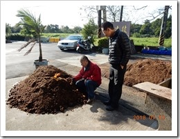 徐先生向賀老師介紹蚯蚓分解果皮的一些過程 徐先生向賀老師介紹蚯蚓分解果皮的一些過程