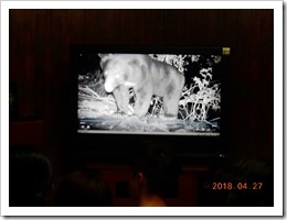 1070427自動照相機野外拍攝野生動物影像 1070427自動照相機野外拍攝野生動物影像