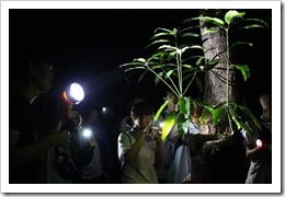 1070427夜間動物觀察與解說 1070427夜間動物觀察與解說