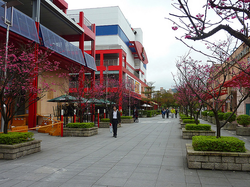 Sakura 2012。信義區的櫻花