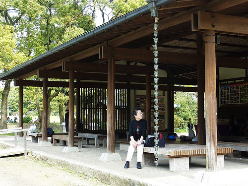 日本行-2010的櫻花-濱離宮恩賜庭園