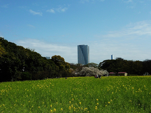 日本行-2010的櫻花-濱離宮恩賜庭園