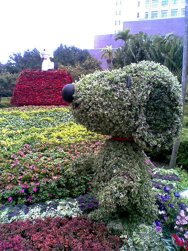 台北市政府前的史努比小花園 little Snoopy Garden