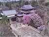 sakura20080409上田城跡公園