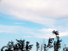 wind, cloud, blue sky in 三芝海邊