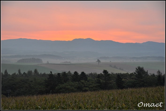 DSC_0114.jpg DSC_0114.jpg