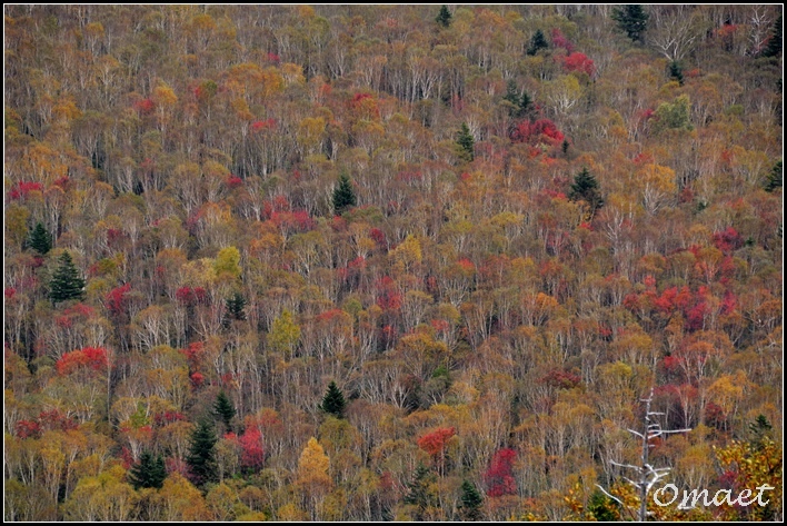 DSC_0572.jpg DSC_0572.jpg