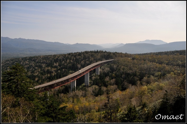 DSC_0710.jpg DSC_0710.jpg
