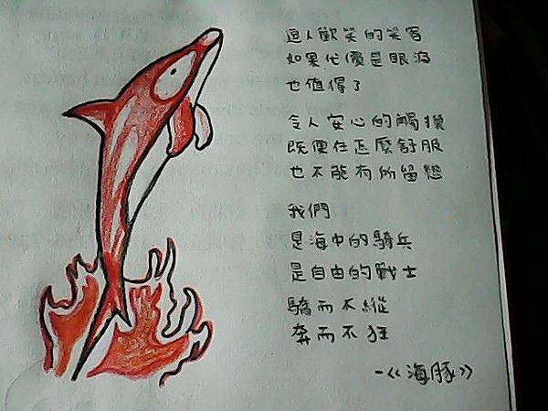 赤炎海豚