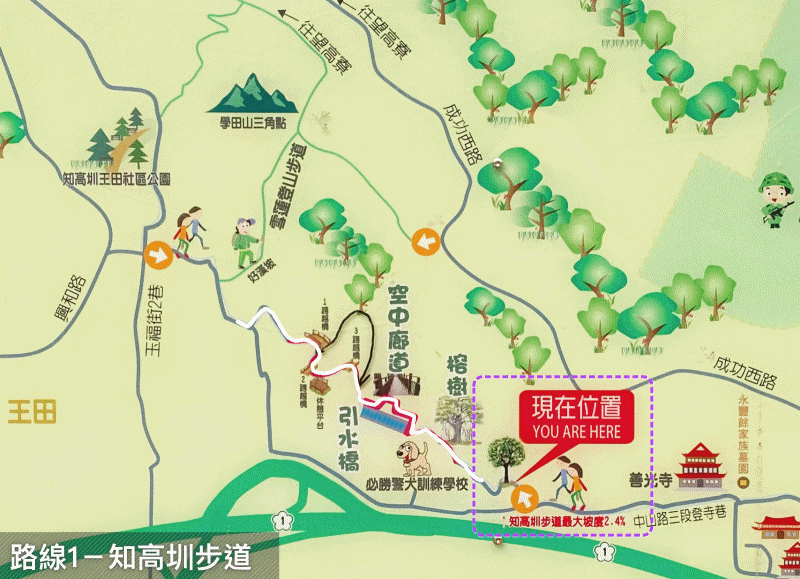 台中景點 || 戶外踏青去！烏日大肚知高圳步道、好漢坡雪蓮步道，秋芒網美打卡景點3路線