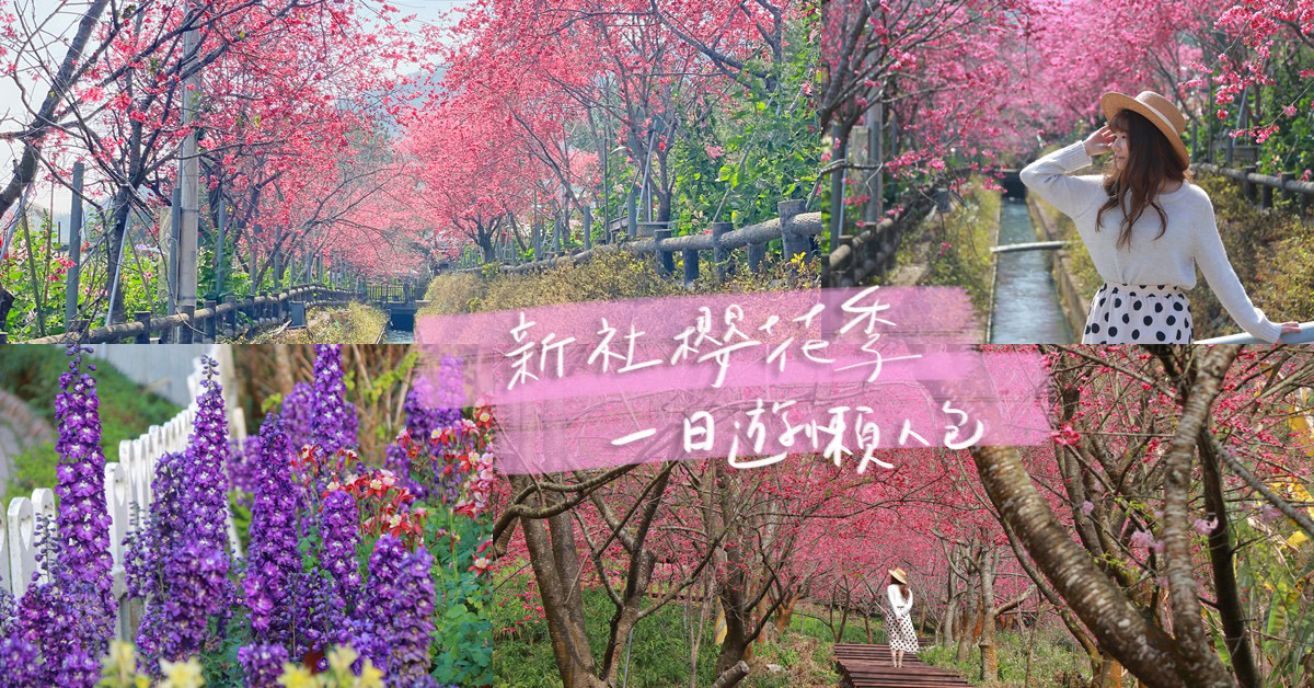 台中景點 21新社櫻花季 新社賞花景點一日遊懶人包 新社花海 巧莉的世界流浪筆記 痞客邦 台中景點 21新社櫻花季 新社賞花景點一日遊懶人包 新社花海 巧莉的世界流浪筆記 痞客邦