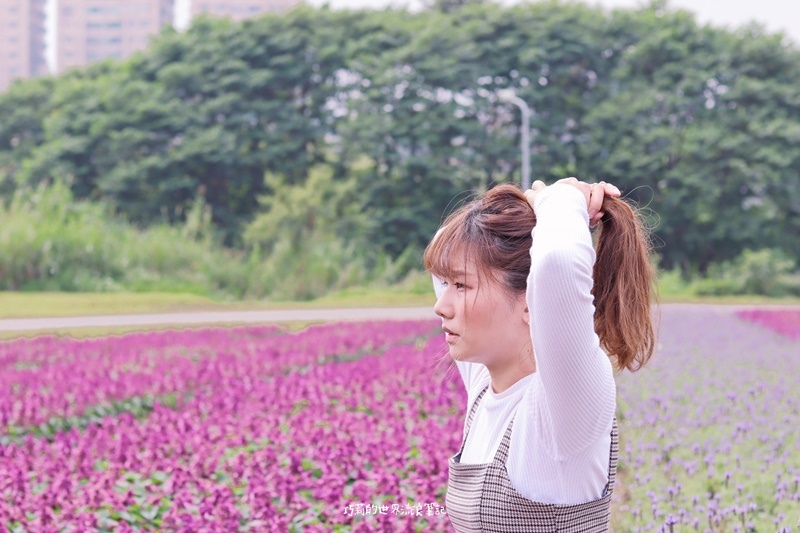 古亭河濱公園 21古亭河濱公園花海怎麼去 台北免費賞花景點到三月底 13萬盆地毯式紫色漸層花海 搭捷運拍起來 巧莉的世界流浪筆記 古亭河濱公園 21古亭河濱公園花海怎麼去 台北免費賞花景點到三月底 13萬盆地毯式紫色漸層花海 搭捷運拍起來 巧莉的世界流浪筆記
