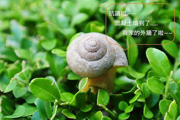 現況70-1.jpg 現況70-1.jpg