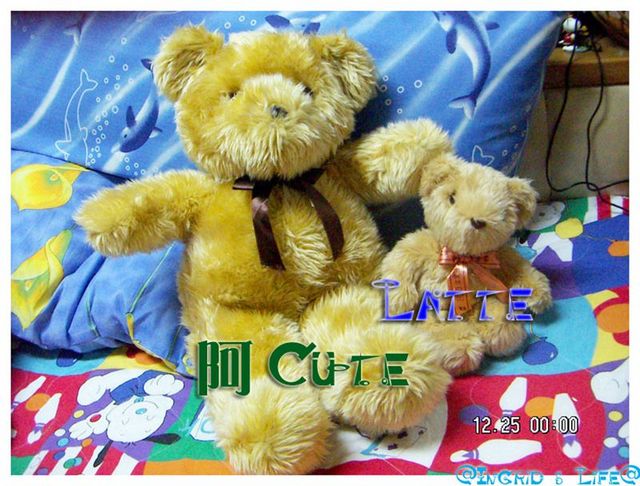 阿CUTE是O仔買的 Latte是我買的!