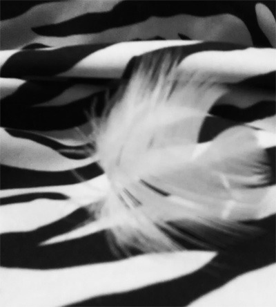 72b2597f10dd78f43d529a2cf0decdfb91a6c37a.jpg 72b2597f10dd78f43d529a2cf0decdfb91a6c37a.jpg