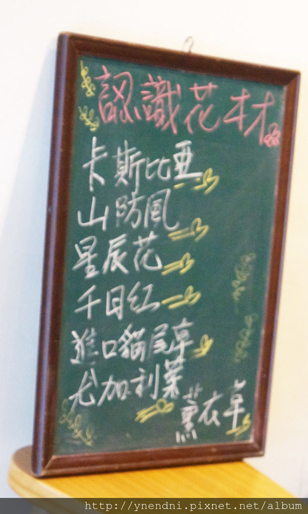 DSC06609