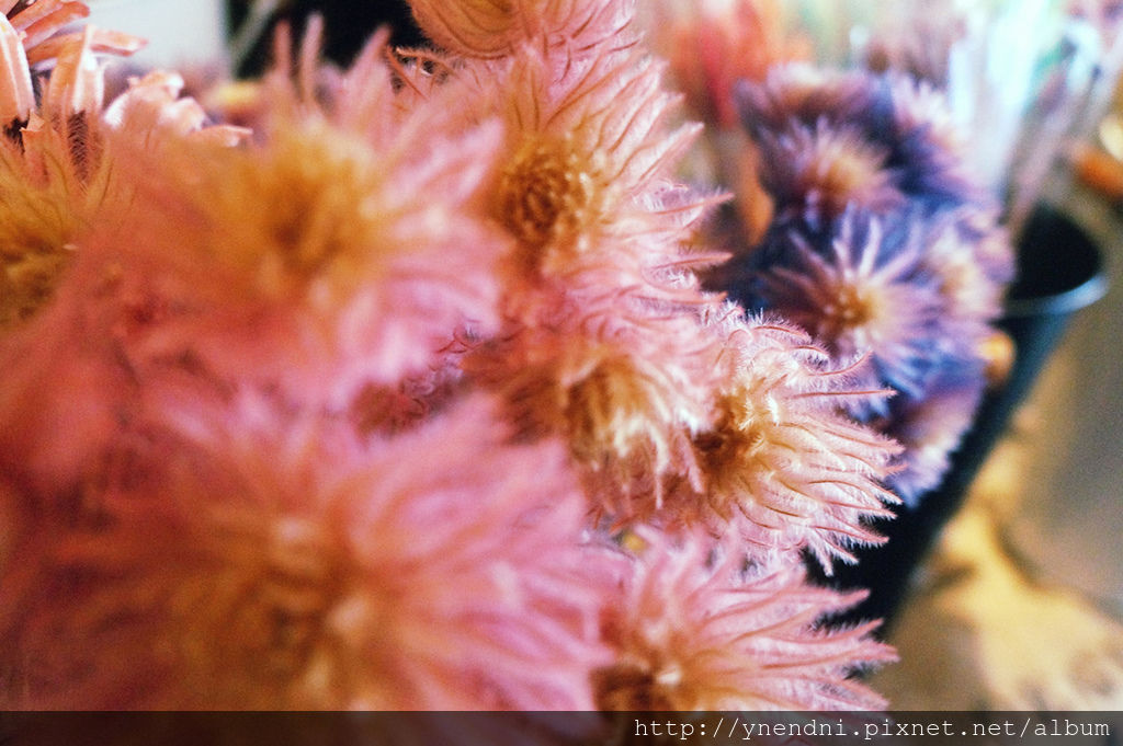 DSC06670