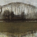 Geinrust farm in watery landscape 1905-1906.jpg