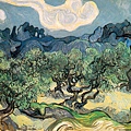 Vincent_van_Gogh_(1853-1890)_-_The_Olive_Trees_(1889).jpg