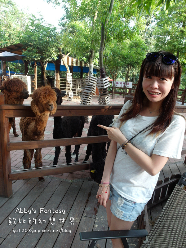 彰化今夜星辰15.jpg 彰化今夜星辰15.jpg