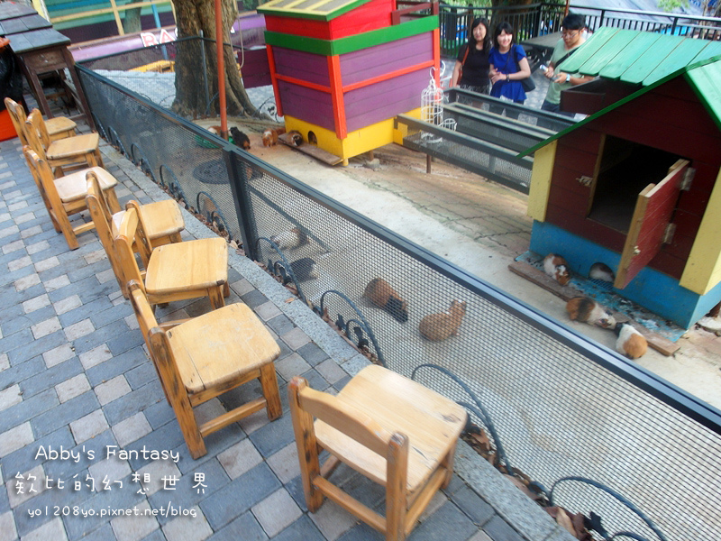 彰化今夜星辰26.jpg 彰化今夜星辰26.jpg