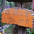P1090474.JPG