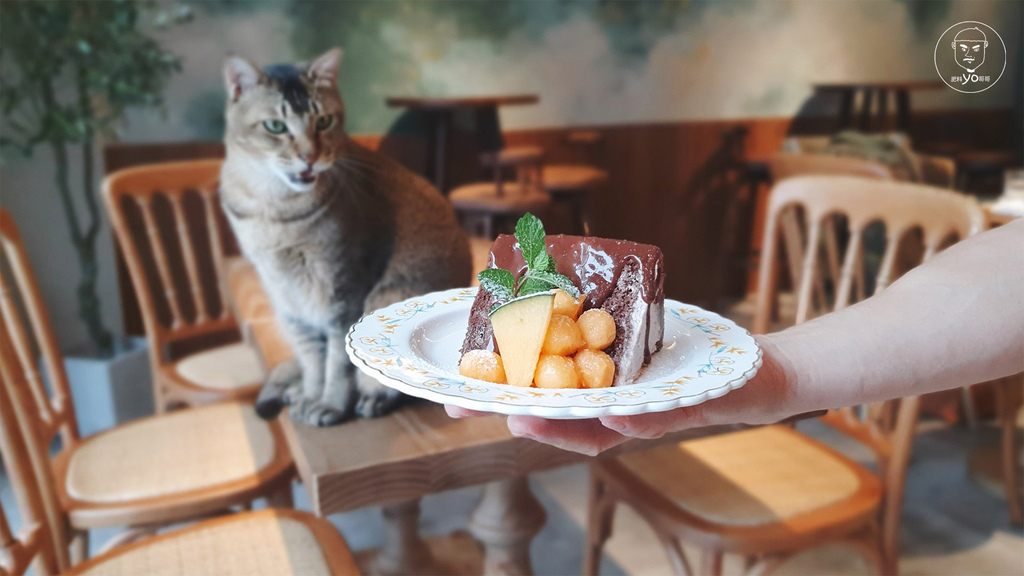 [食記] 桃園區 霧夜咖啡-店貓肥美又親人