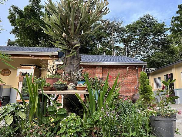 檸檬蔬果斷食營 (學員分享)