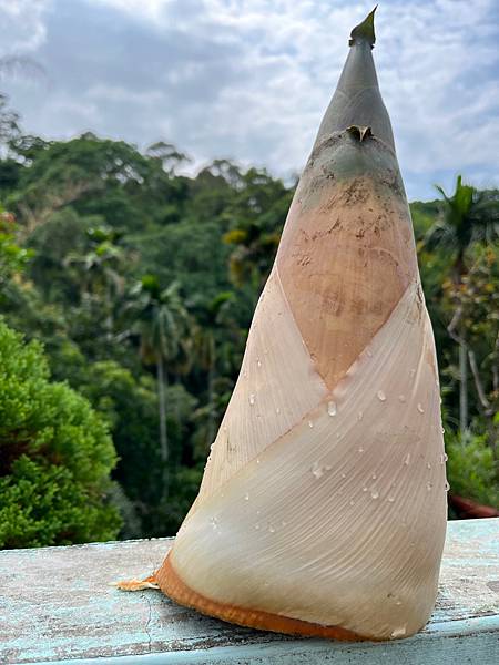 有效排宿便的天然方法