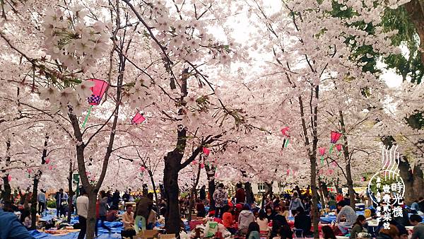 鶴舞公園-名古屋 (16).jpg