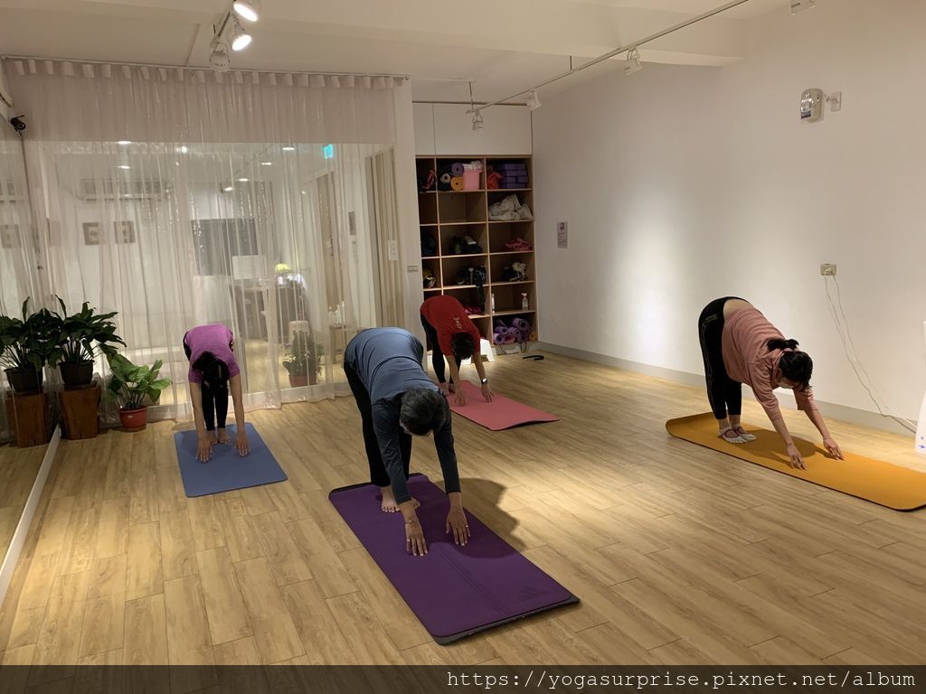 IMG_2223.JPG IMG_2223.JPG