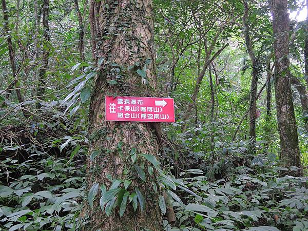 聽擦身而過的山友說再繼續往上走還可以到滿月圓