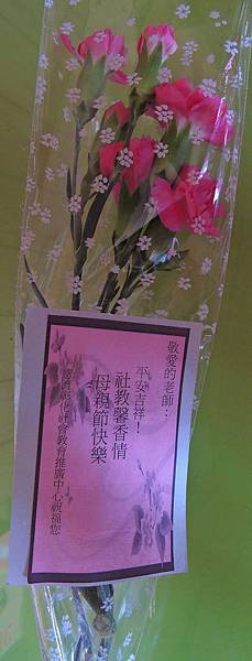  康乃馨花束