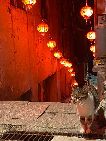 九份夜景紀錄⭐九份咖啡廳餐廳景觀推薦九戶茶語、住宿推薦九重町客棧