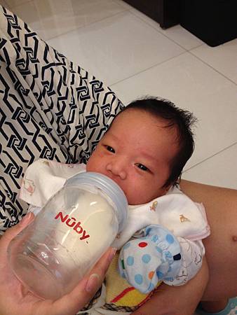 IMG_2264 IMG_2264