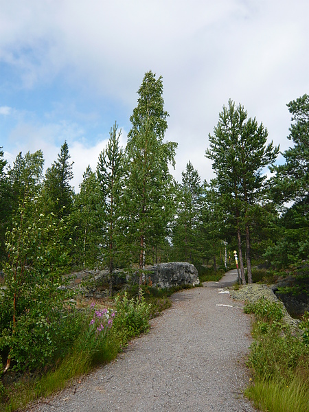滑雪之路(終點)