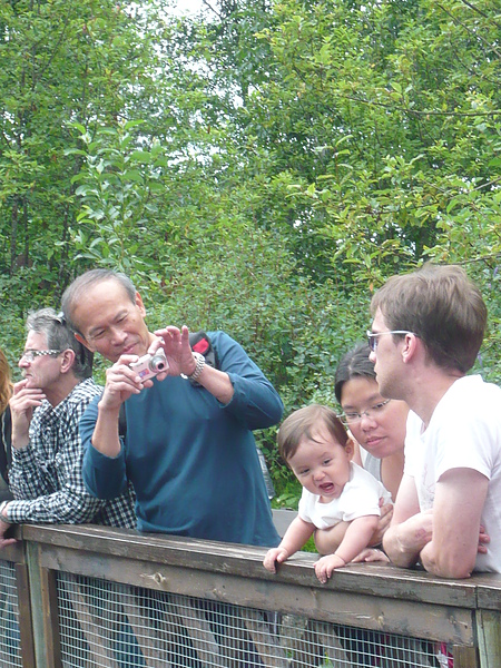 Felicia went crazy when she saw a 海獅  哈哈哈不想翻譯啦