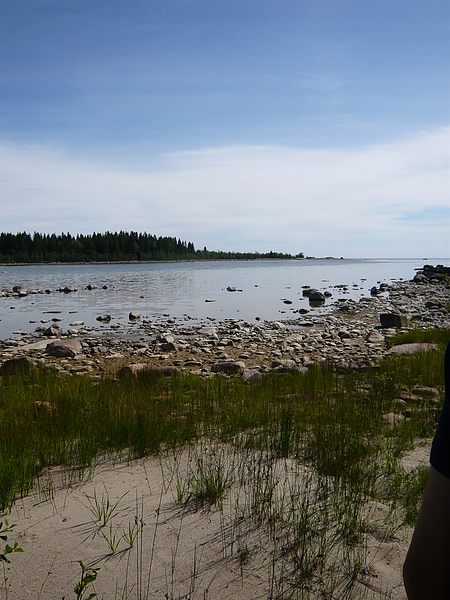 Peter的整個家族在這裡有一"群" Summer house