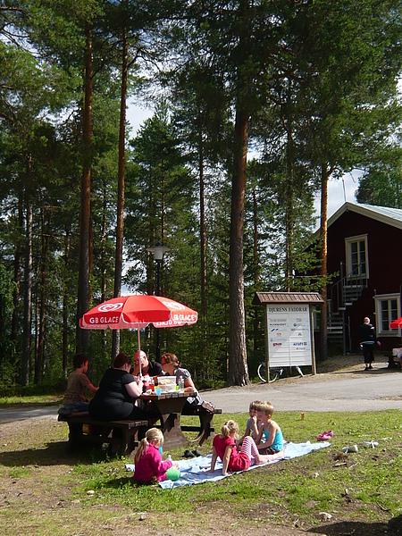 陽光普照闔家出遊野餐好時機
