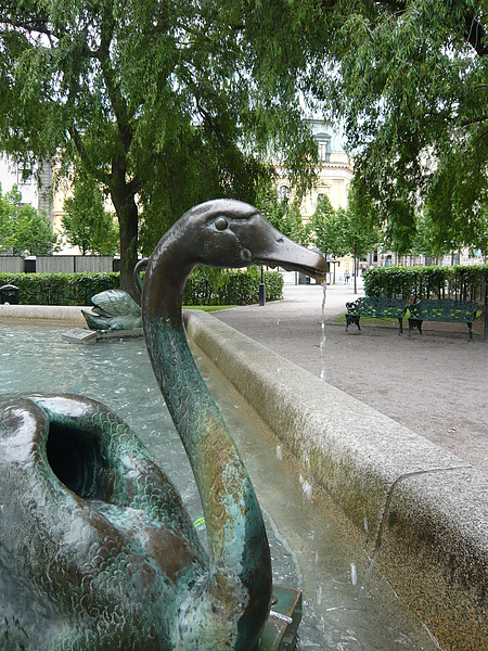 0807 Kungsträdgården站旁邊的公園  口水鴨XD