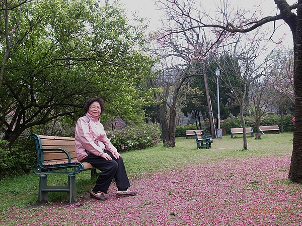 老媽想學少女坐在落花中...