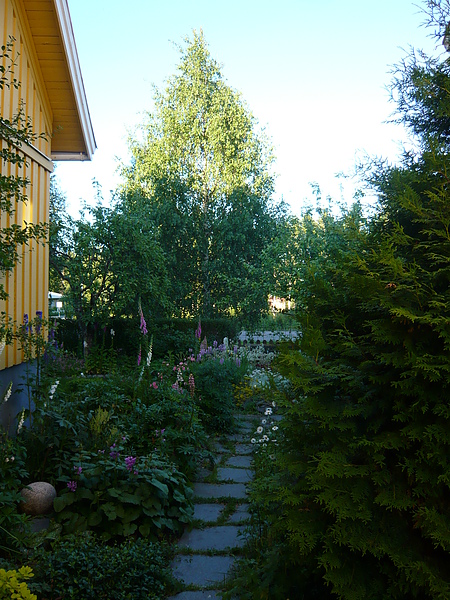 他的舅媽把院子整理得好好  種了好多花