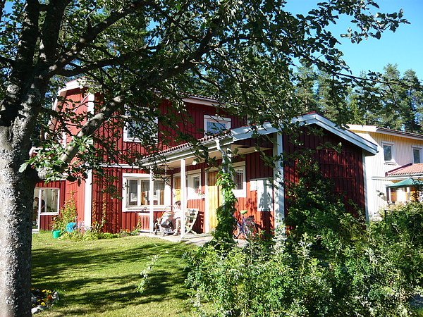 Gunnar和他的妹妹Katarina跟Felicia玩