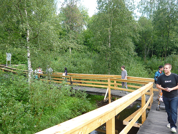 Gunnar說他小時候來還沒有這步道