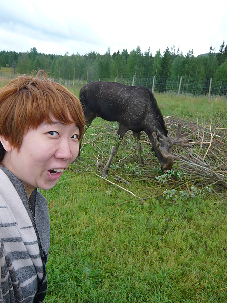 自拍不求人  大頭還可以擋住後面的大嬸(大嬸照超久的  又要照又要怕  誰受得了!?)