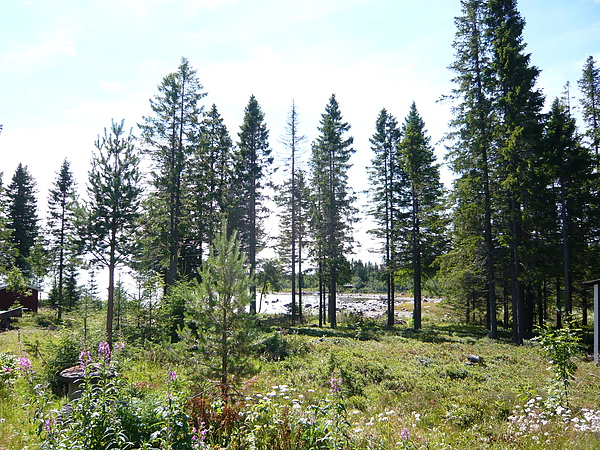 Summer House前的景  一早起床就看到這個畫面會不會太好!!!