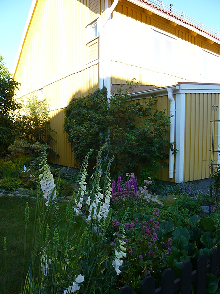 拜訪Gunnar的舅舅  